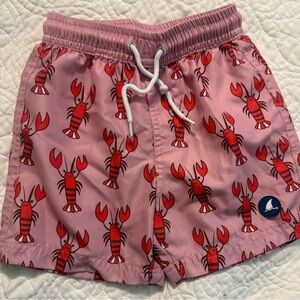 Pink Lobster Print Swim Shorts